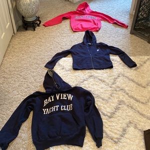 Set of 3 Michigan (MI) Hoodies
